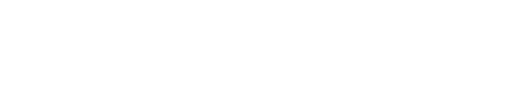 Bazar Bizar logo