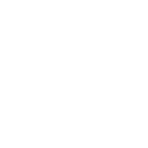 Stëlz logo